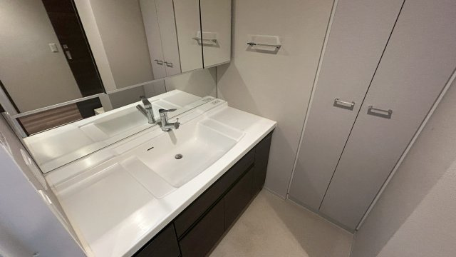 ライオンズマンション西鉄久留米駅前の独立洗面台