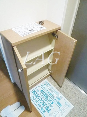 【玄関】 | エルヴァージュ神田神保町/メディカルモール神田神保町 | 玄関です。