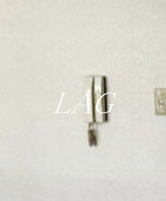 【セキュリティ】 | ツリーサイドＡ・Ｂ錦糸町 | インターホンです。