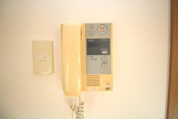 サングリーン藤沢IIのセキュリティ|インターホン