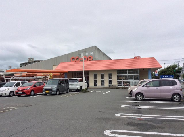 サングリーン藤沢IIの周辺|スーパー