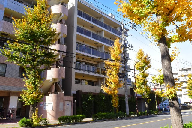 国立市富士見台２丁目の中古マンションの外観