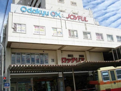 【その他】 | 向日葵(ヒマワリ)