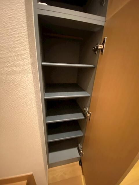 ｃｕｒｒａｎｔの収納