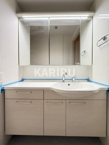 スペチアーレ巽中　B棟の洗面所