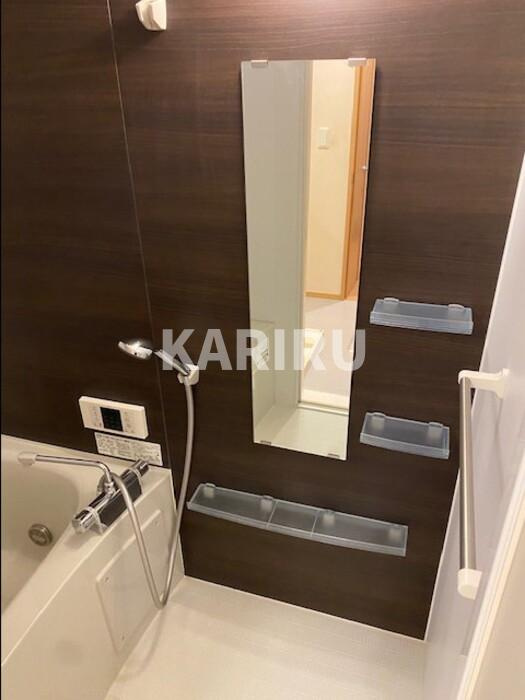 ソルプレーザ玉造の浴室