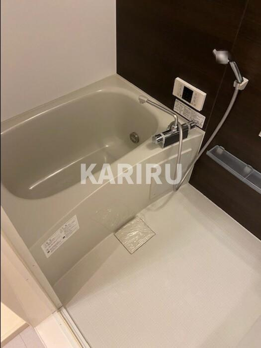 ソルプレーザ玉造の浴室