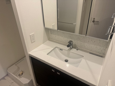 【洗面所】 | ザ・パークハビオ荏原中延プレイス | 別部屋参考写真