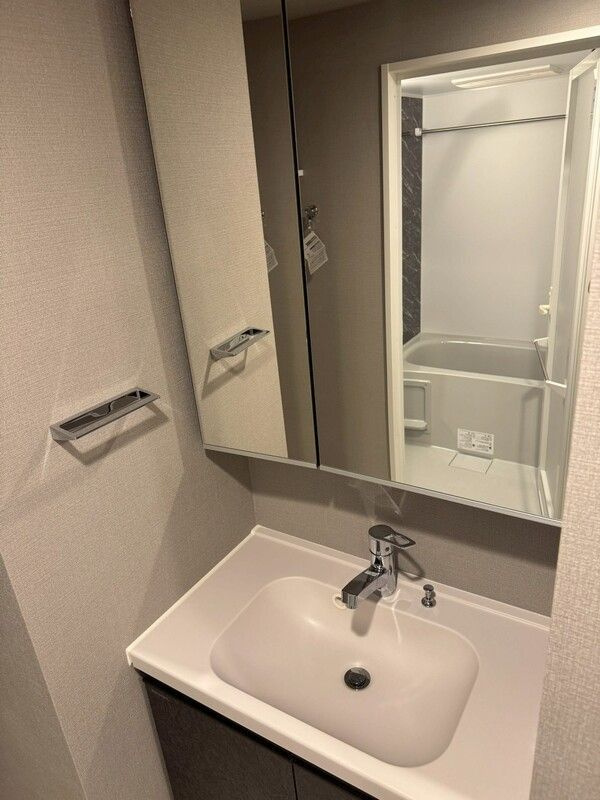 エストゥルース亀戸の洗面所