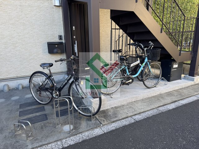 スターティングポイント柳沢のその他