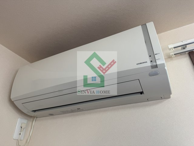 スターティングポイント柳沢のその他