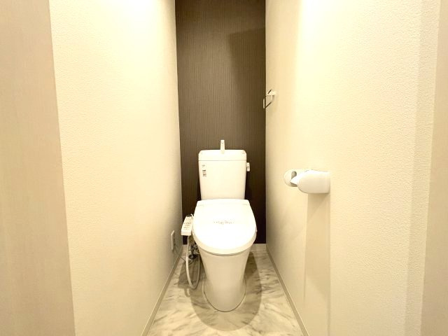 ステラウッド道明寺Ⅱのトイレ