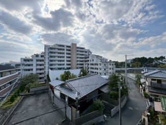 【展望】 | Amour fleurir 若竹