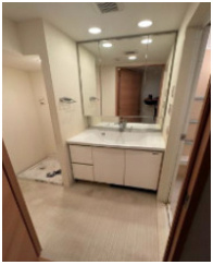 日神パレステージ田端の洗面所