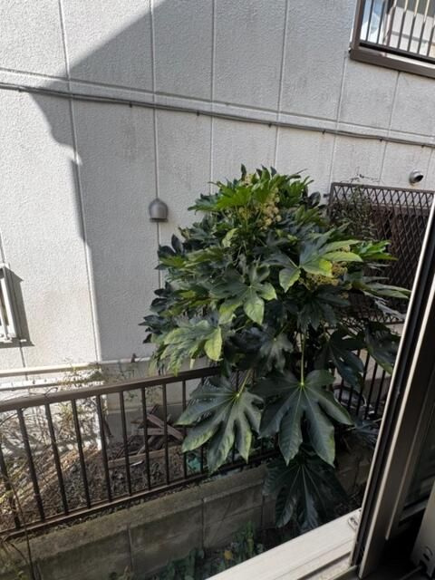 サークルハウス京成小岩の展望