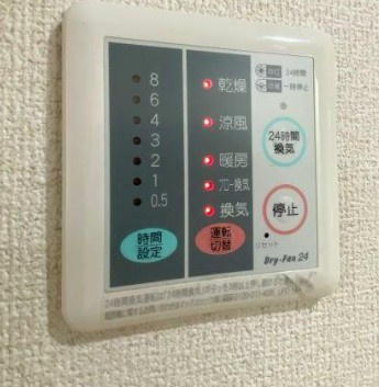 Meson de Sucreのその他