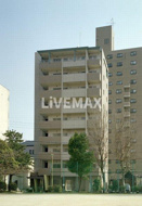 ファインコートの画像