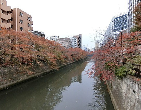 【その他】 | ダイアパレスシェルトワレ目黒