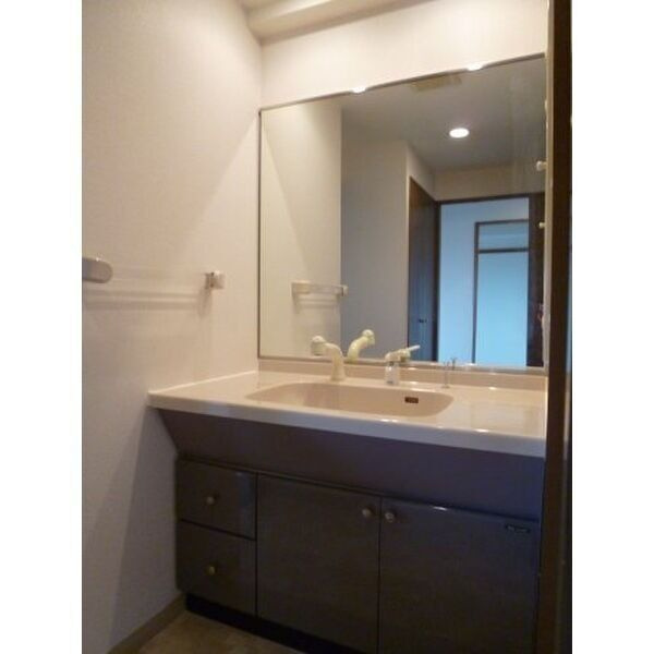 メイツ巽ヶ丘の浴室