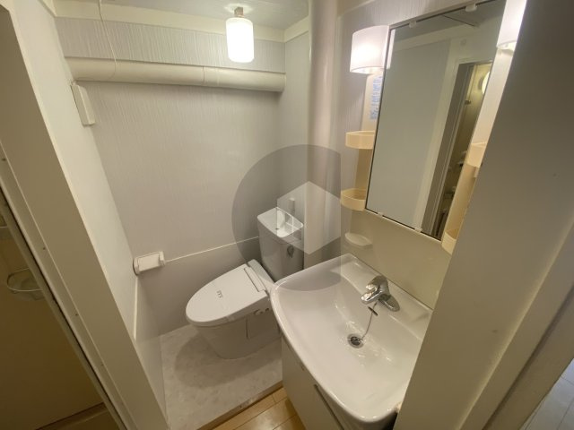 ウィンズコート高井田の洗面所