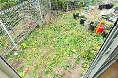 【庭】 | シルベリアンⅡ | ちょっとした家庭菜園も楽しめますね。