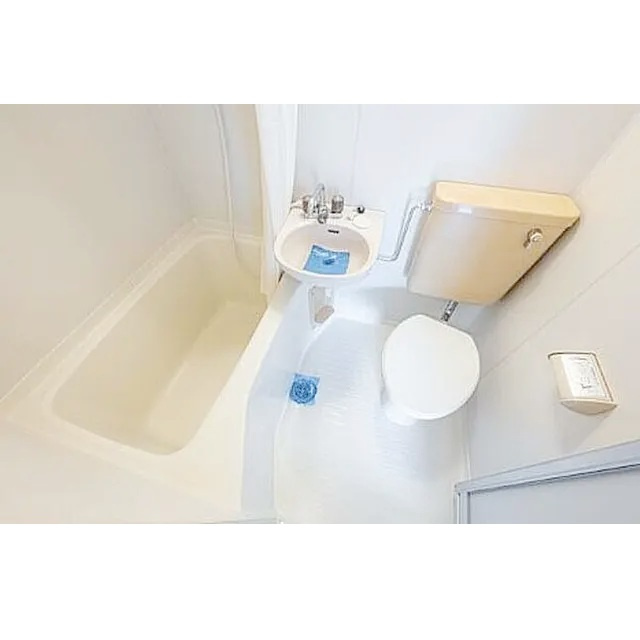 ジュネパレス相模原第21の内装