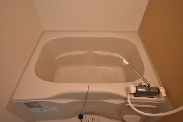 フジパレスエンの浴室