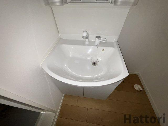 REGIA IKEDA CITY TENJINの洗面所