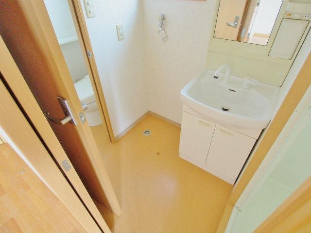 ヴェラーレ新大州橋の洗面所