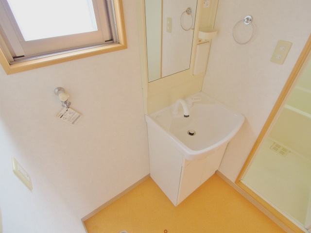 ヴェラーレ新大州橋の洗面所