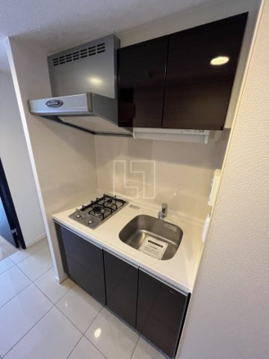 【キッチン】 | レジュールアッシュ難波LUXE | レジュールアッシュ難波LUXE（レジュールアッシュ難波リュクス）　２口ガスシステムキッチン