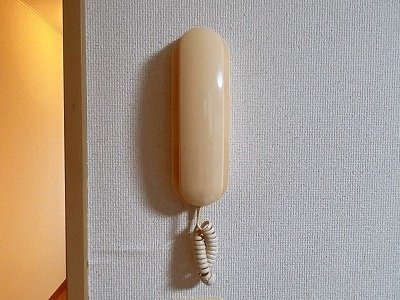 レオパレスドミールのその他