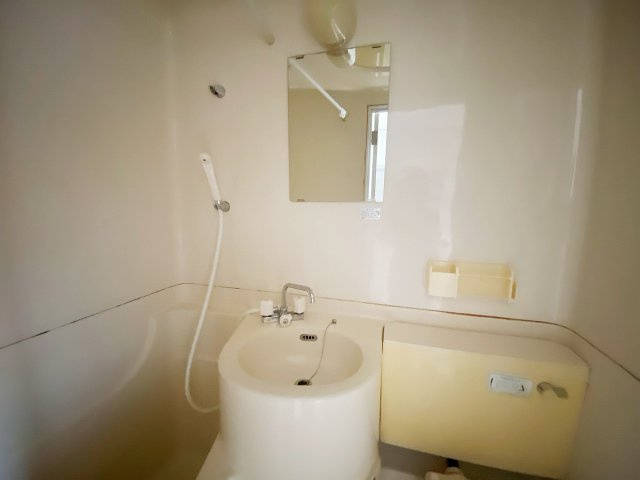 カーサヴェルデ関谷1の洗面所