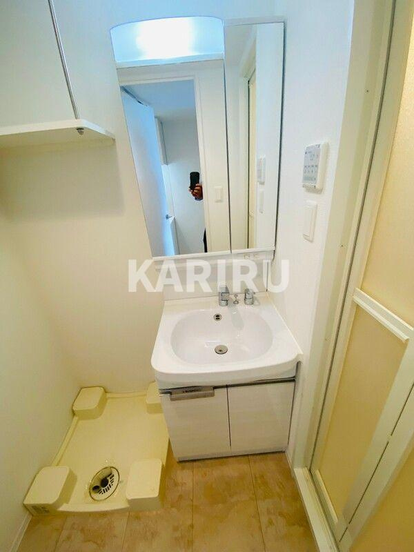 エスプレイス大阪城サウスコンフォートの洗面所