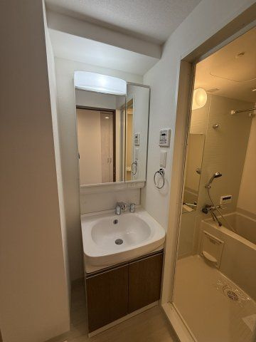 Metrosa弁天町の洗面所