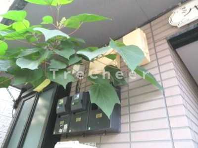 【エントランス】 | シャルム北新宿