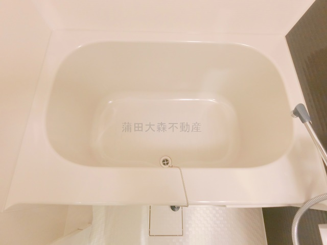 レガリス蒲田の浴室