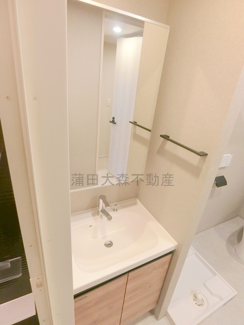 レガリス蒲田の洗面所