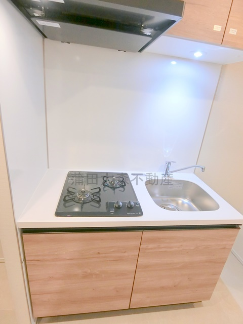 レガリス蒲田のキッチン|2口ガスシステムキッチン