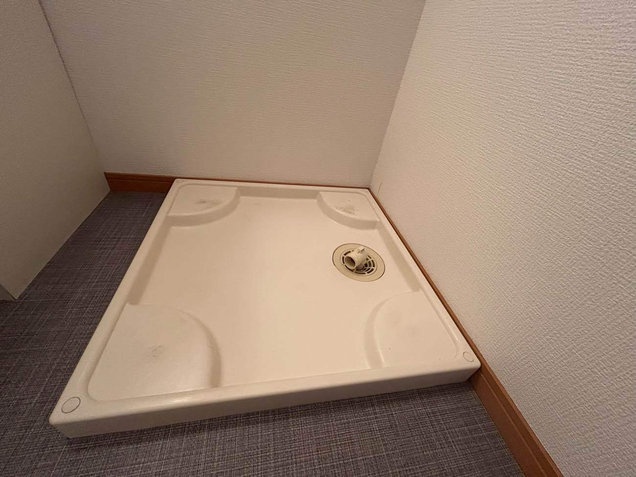 アムール樟の設備