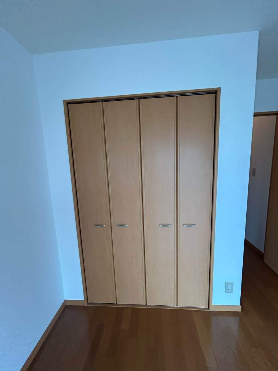 アムール樟の収納|収納があります