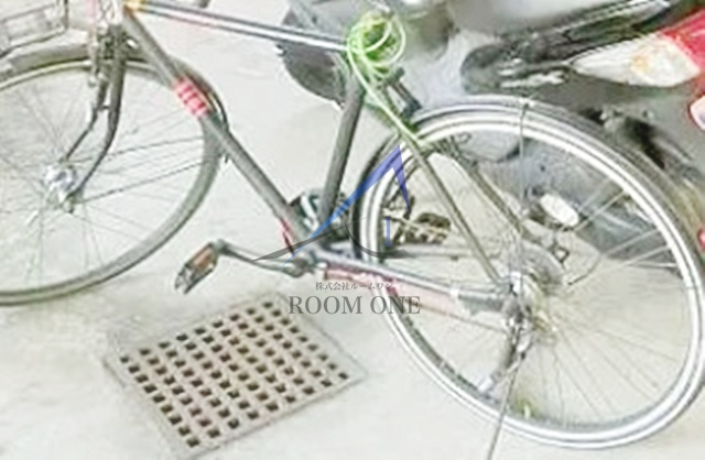 ロイヤルサニーハイツのエントランス|エントランスです。