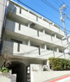 ビリジアン目白の画像