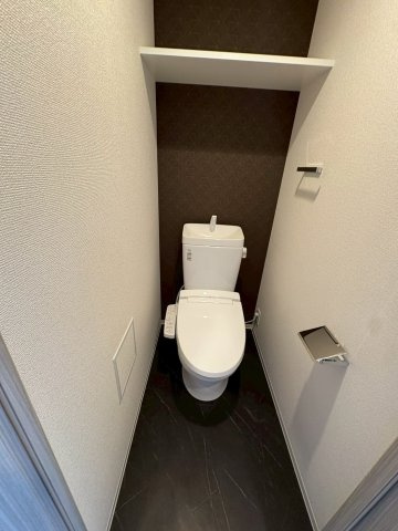 S-RESIDENCE豊田avantaのトイレ