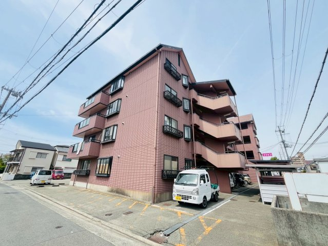 サンフラワー貴崎