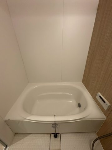 セレニテ難波グランデシュッドの浴室