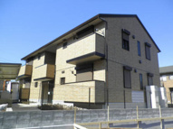 ソル・セレッソの画像