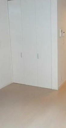 ピナクルの収納