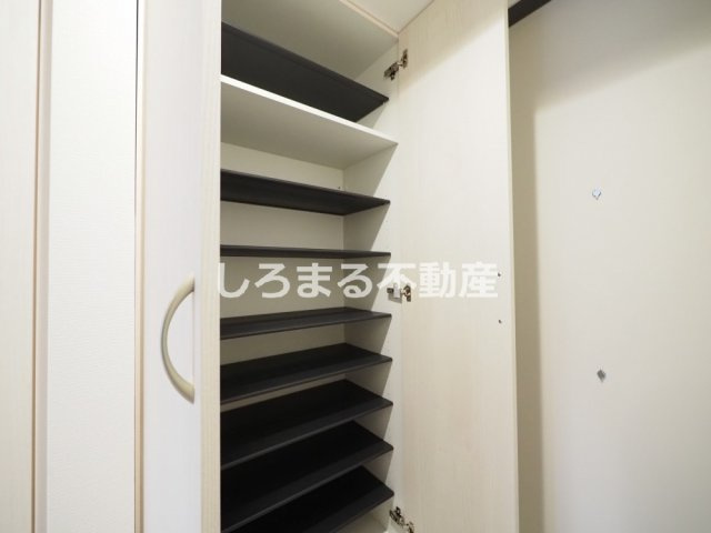 ソルテラス本庄西クレアストの収納