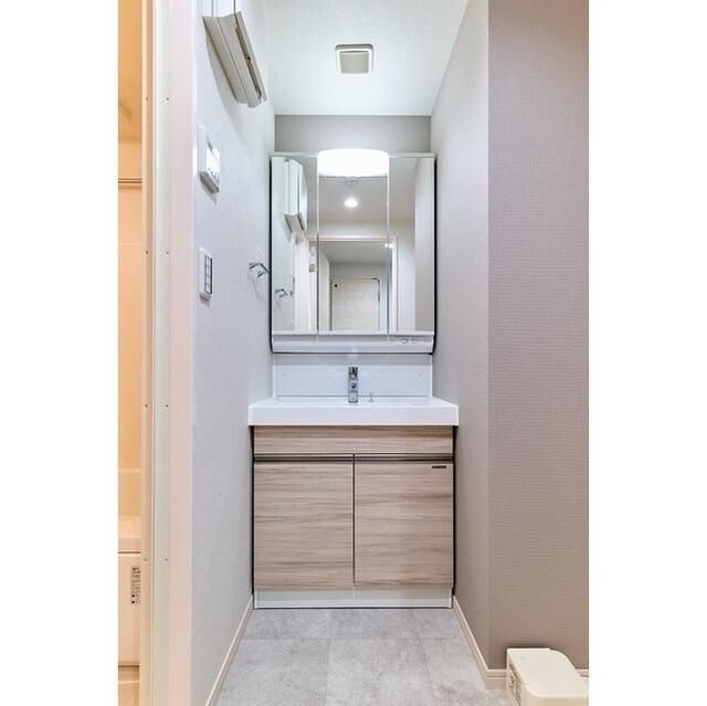 アルファコート曳舟２の洗面所